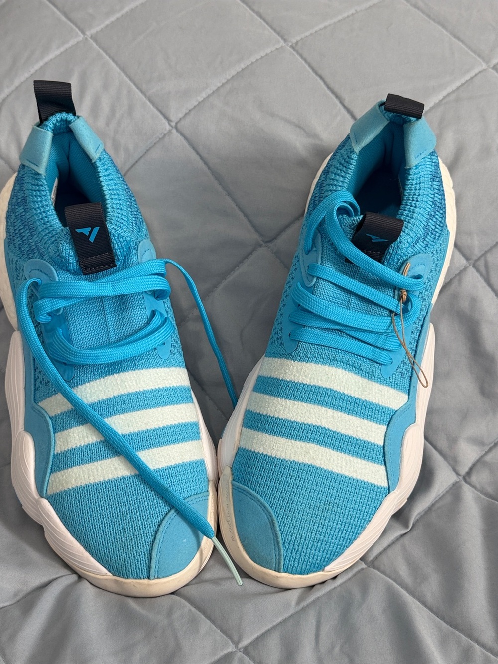 Light Blue Adidas Trae Young 2